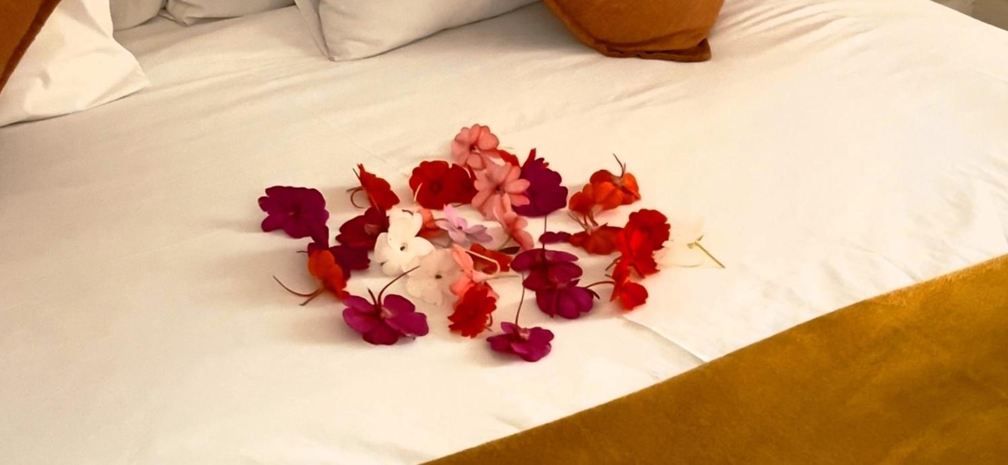 27A On Angus Hotel Johannesburg Ngoại thất bức ảnh